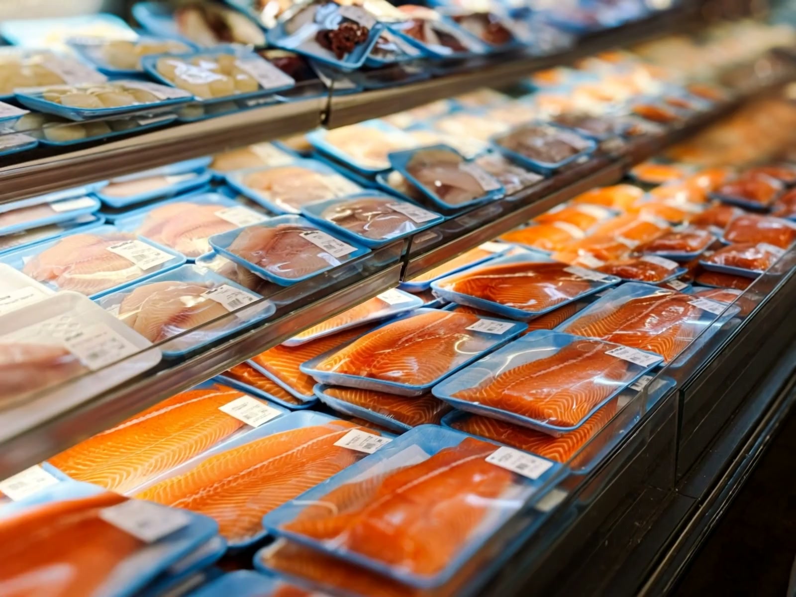 Fresh salmon and white fish fillets displayed in a seafood counter